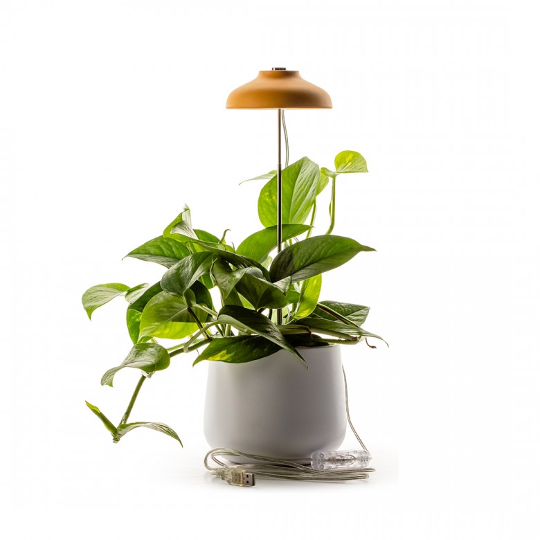 Lampe pour plante LED - Lampe horticole - Vert d'eau / Moutarde / Blanc