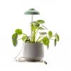 lampe plante led lampe horticole vert eau