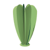 cactus deco interieur vert pastel 12 feuilles 1,50m et 1m