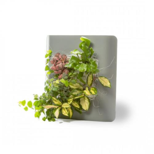 tableau floral vivant cadre gris metal edition